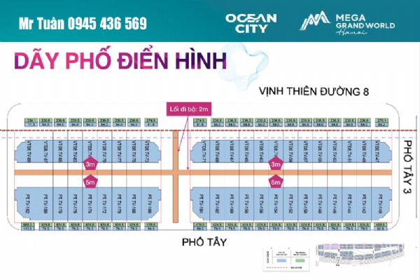 PHỐ TÂY | PT-TV-128 (LAYOUT DÃY PHỐ ĐIỂN HÌNH VỚI LỐI ĐI BỘ 2m)