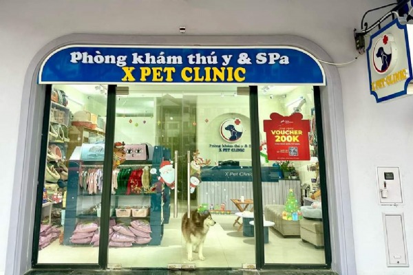 PT1-TV-156 X PET CNINIC - Phòng khám thú y & Spa Grand World Hanoi