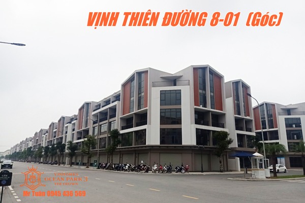 SHOPHOUSE VỊNH THIÊN ĐƯỜNG 8 | VTĐ8-01