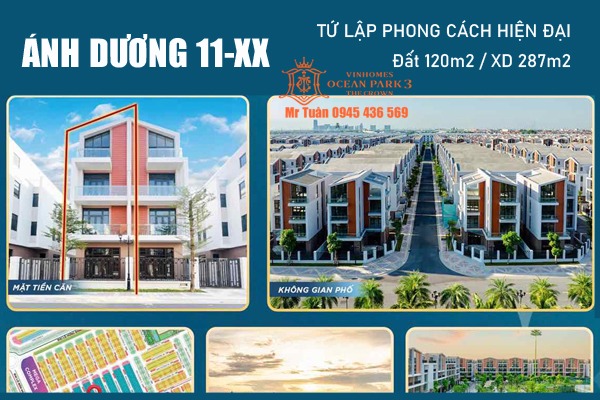 TỨ LẬP ÁNH DƯƠNG 11-1x